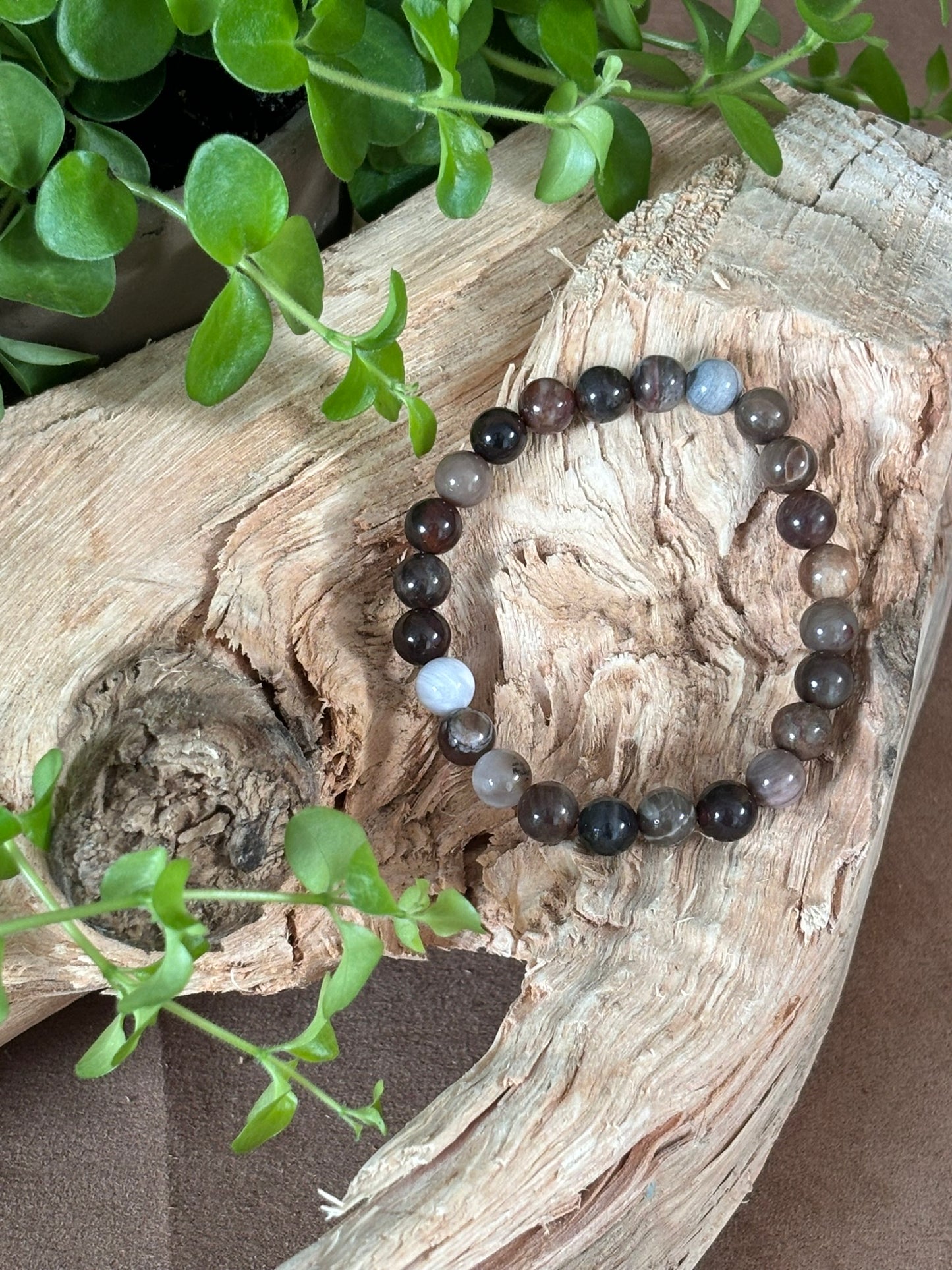 Versteend hout armband 8mm