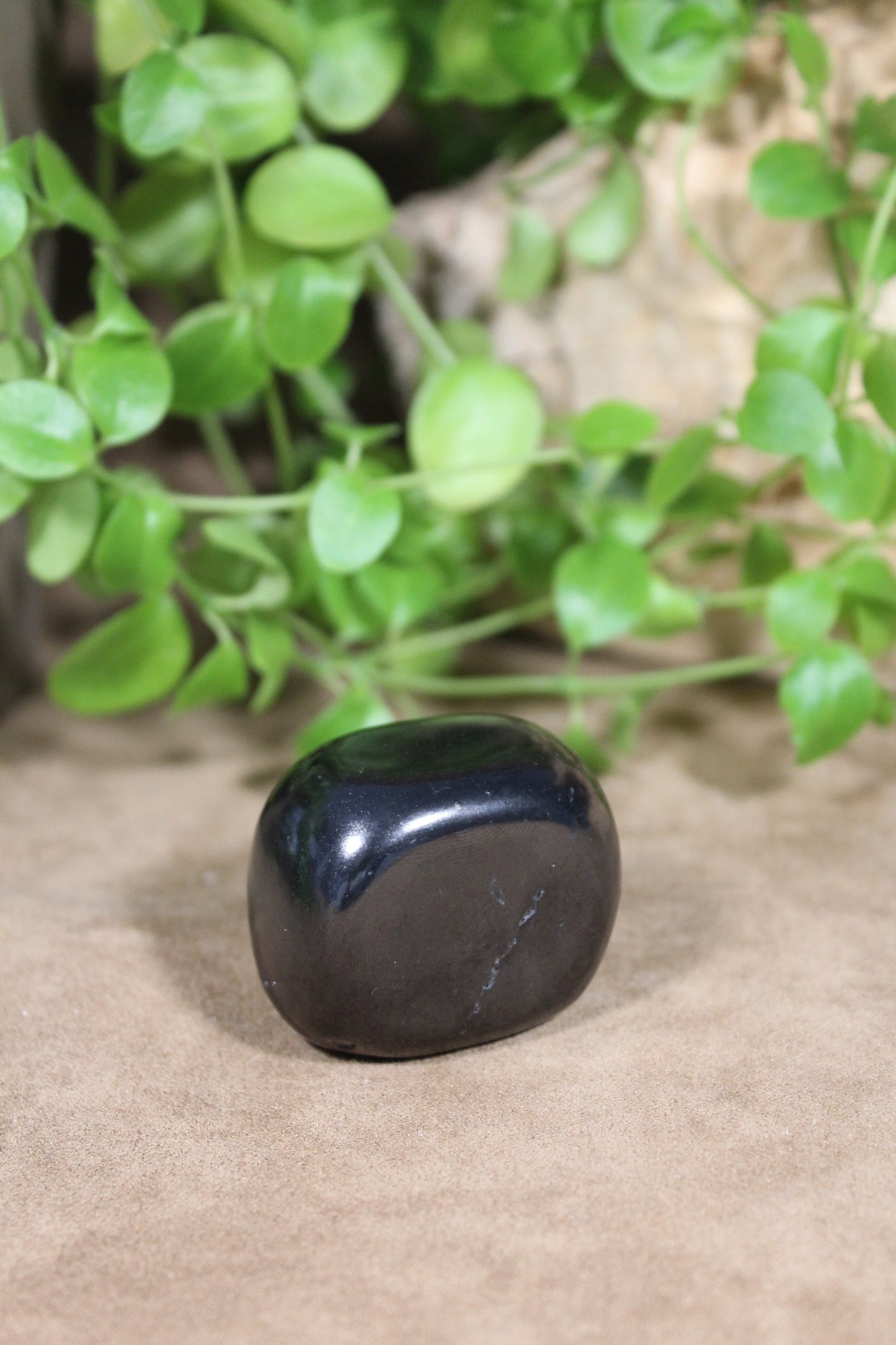 Gepolijste Shungite