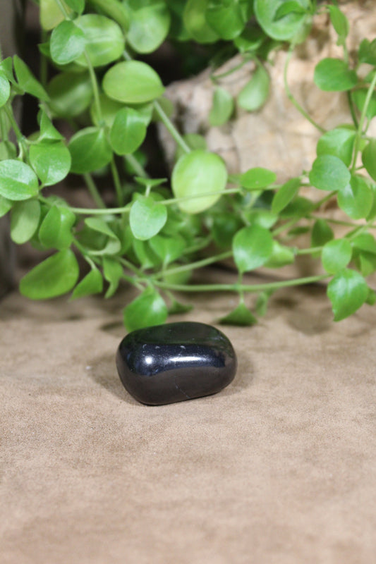 Shungite, gepolijst