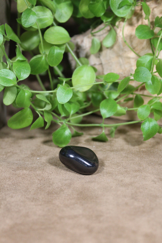 Shungite, gepolijst