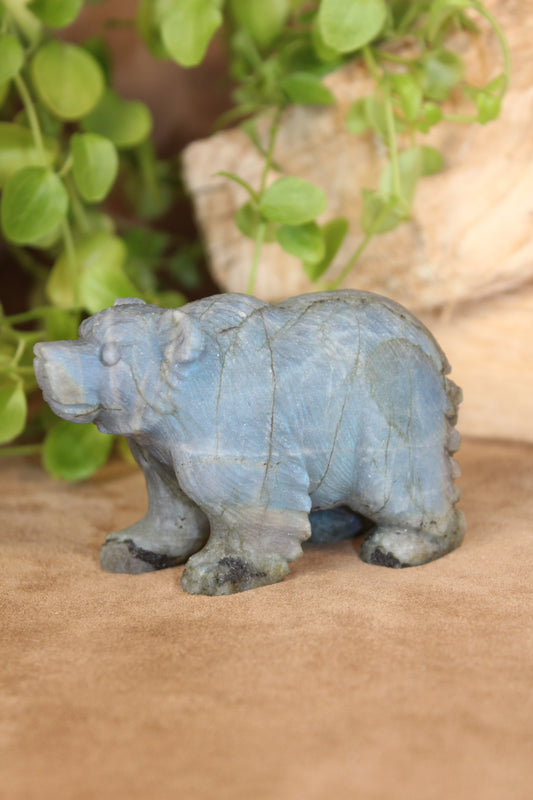 Labradoriet beer carving uit Madagaskar