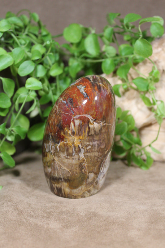 Versteend hout sculptuur