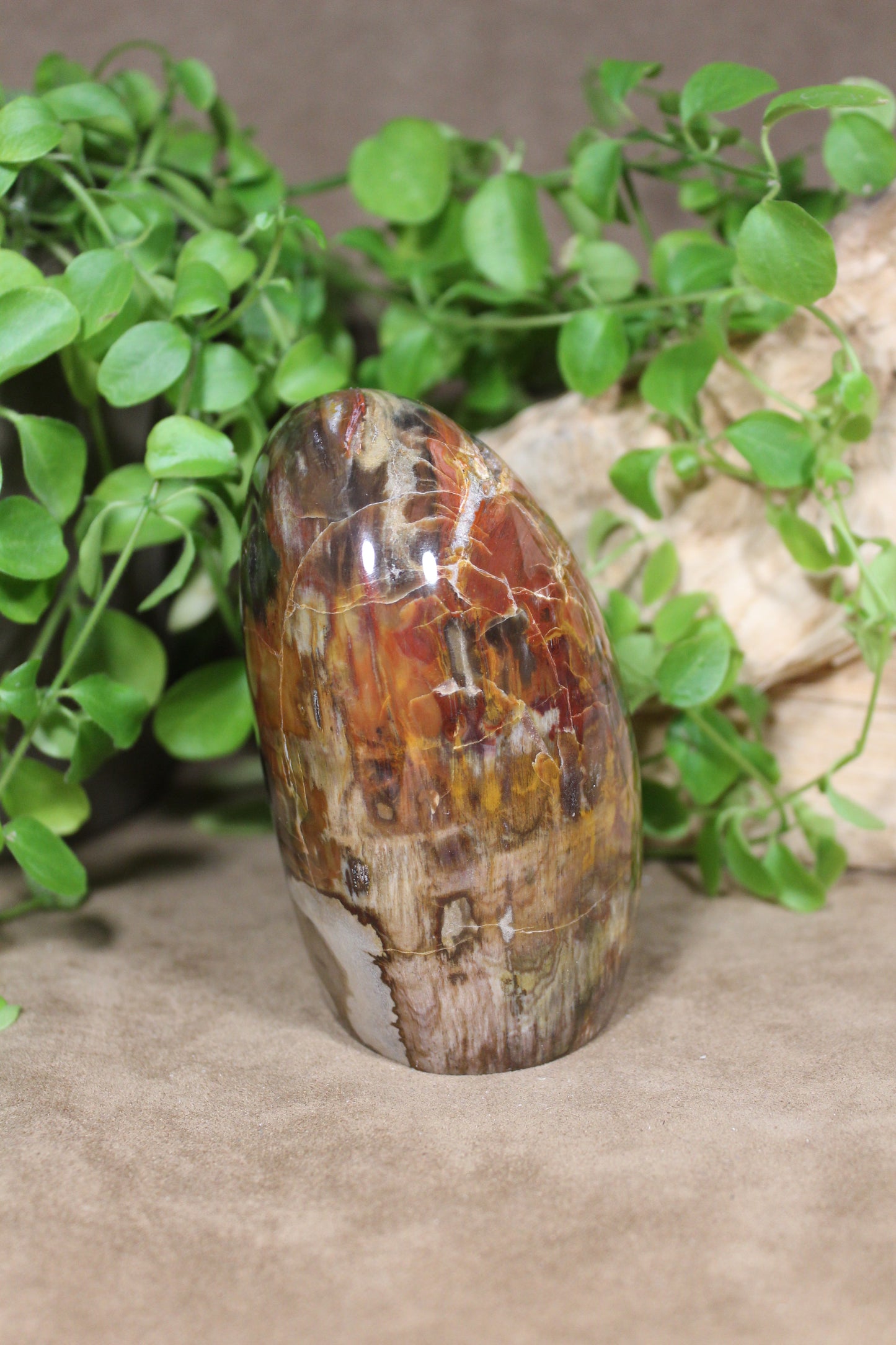 Versteend hout sculptuur