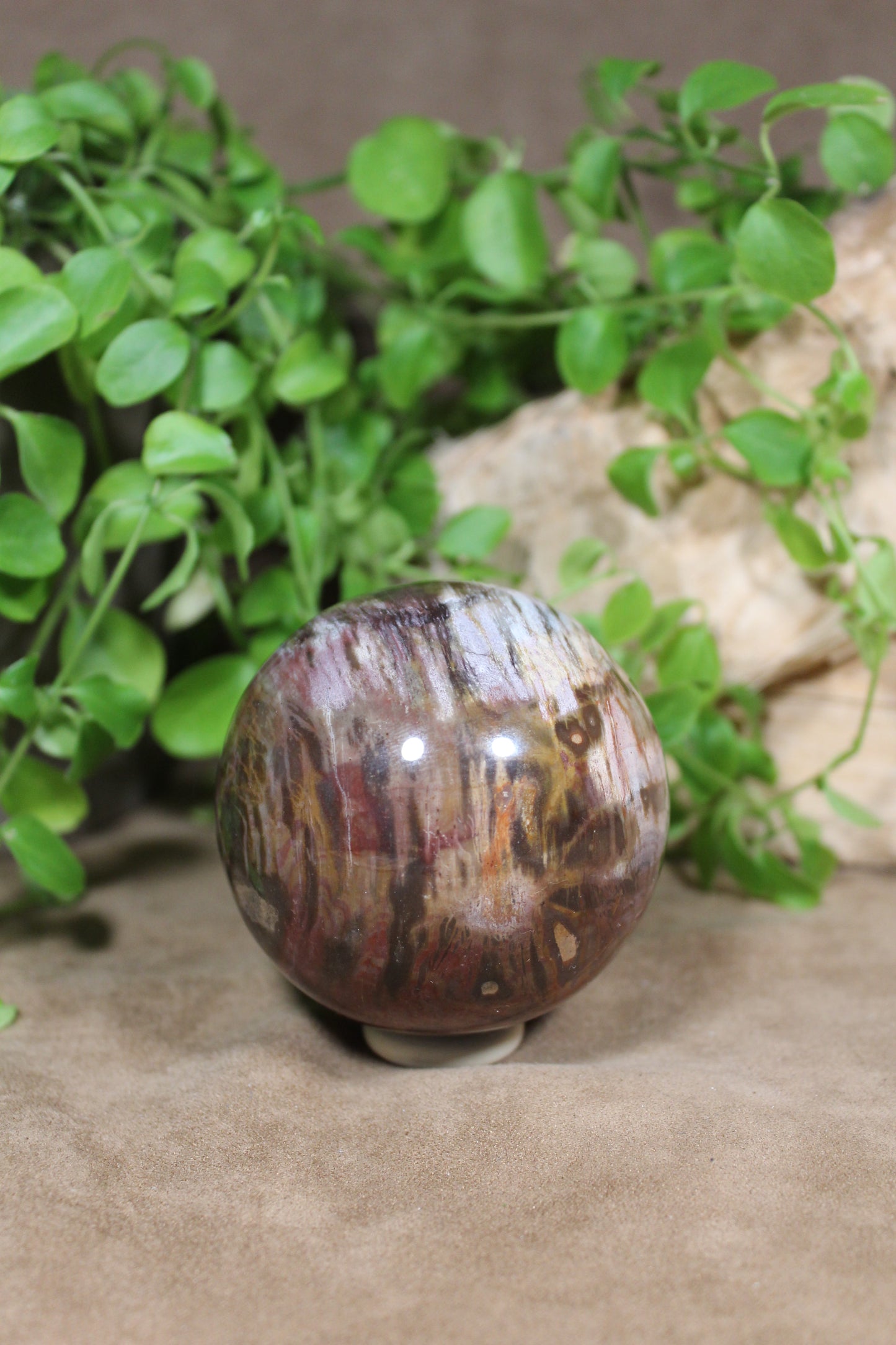 Versteend hout bol