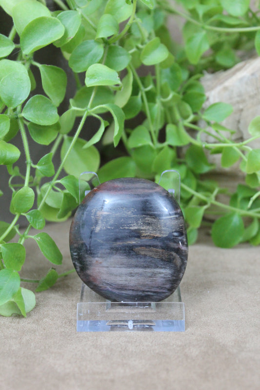 Versteend hout handsteen