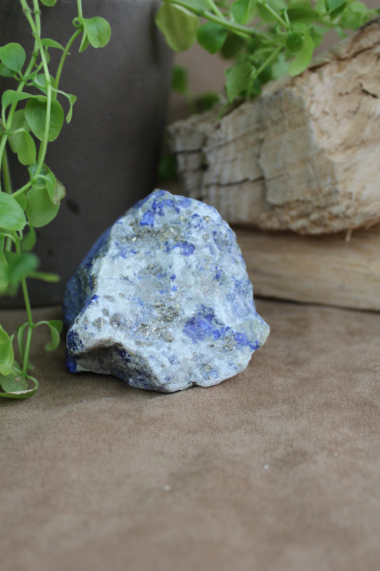 Ruwe lapis lazuli met pyriet uit Afghanistan