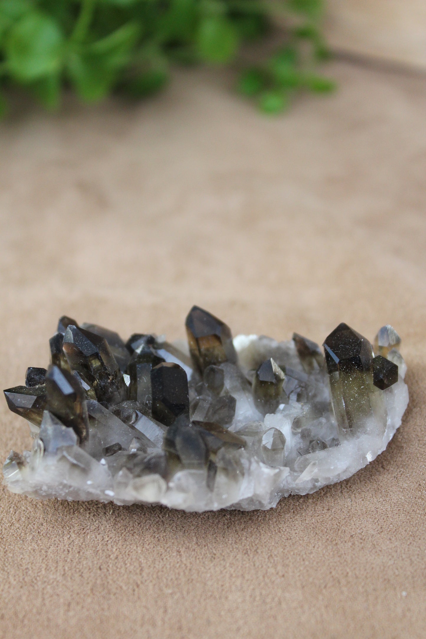 Rookkwarts cluster met meerdere kristallen
