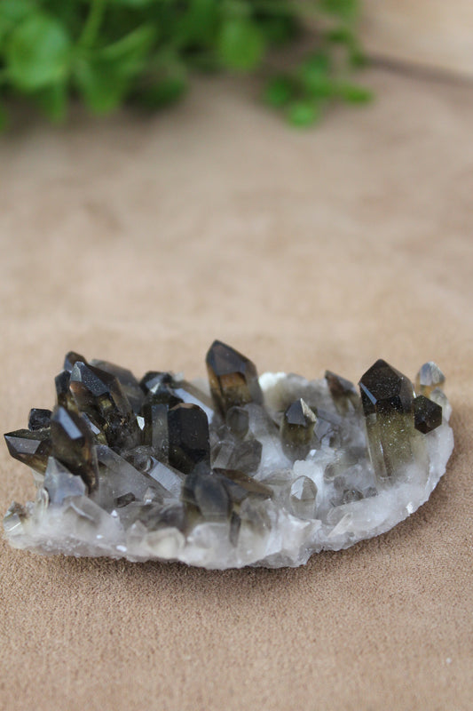 Rookkwarts cluster met meerdere kristallen