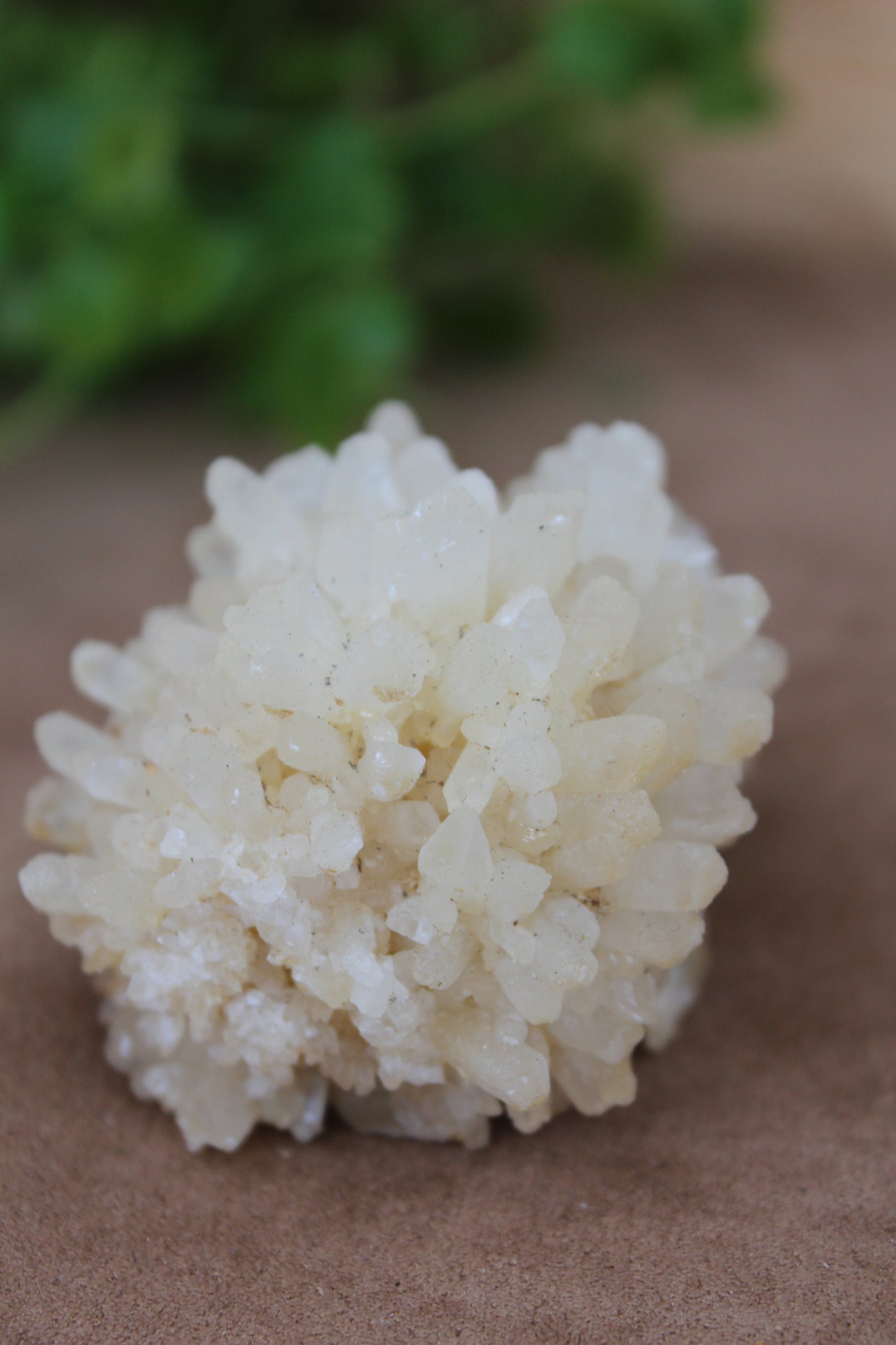 Calciet cluster met natuurlijke kristalgroei
