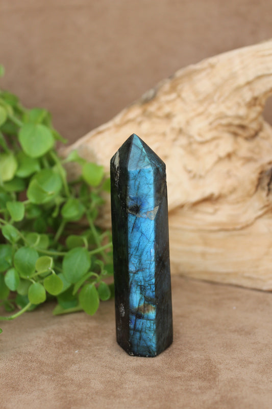 Labradoriet toren – helderblauwe flash