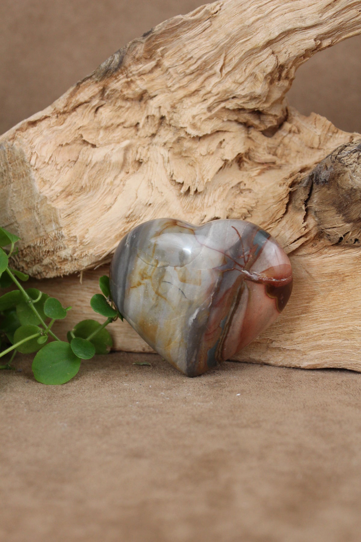 Versteend hout hart
