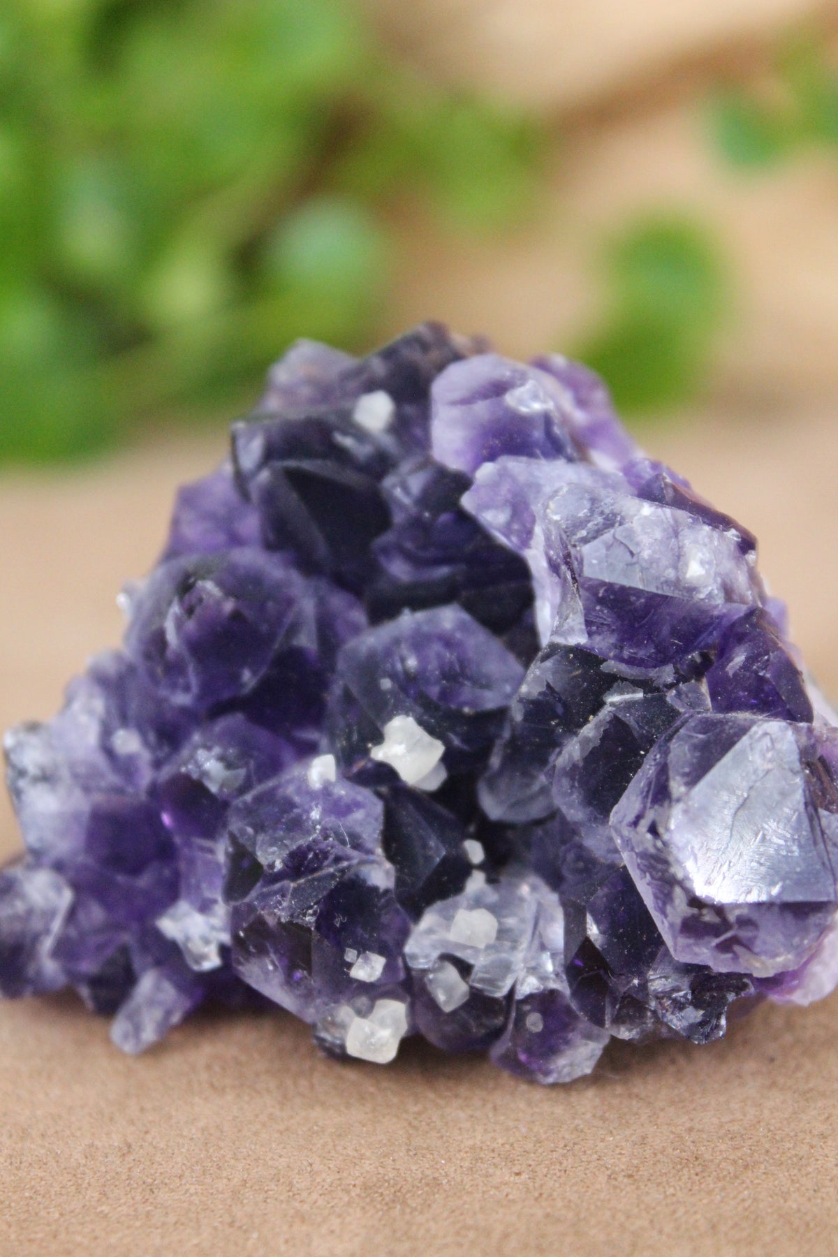 Amethistcluster – dieppaars met witte kristalaccenten