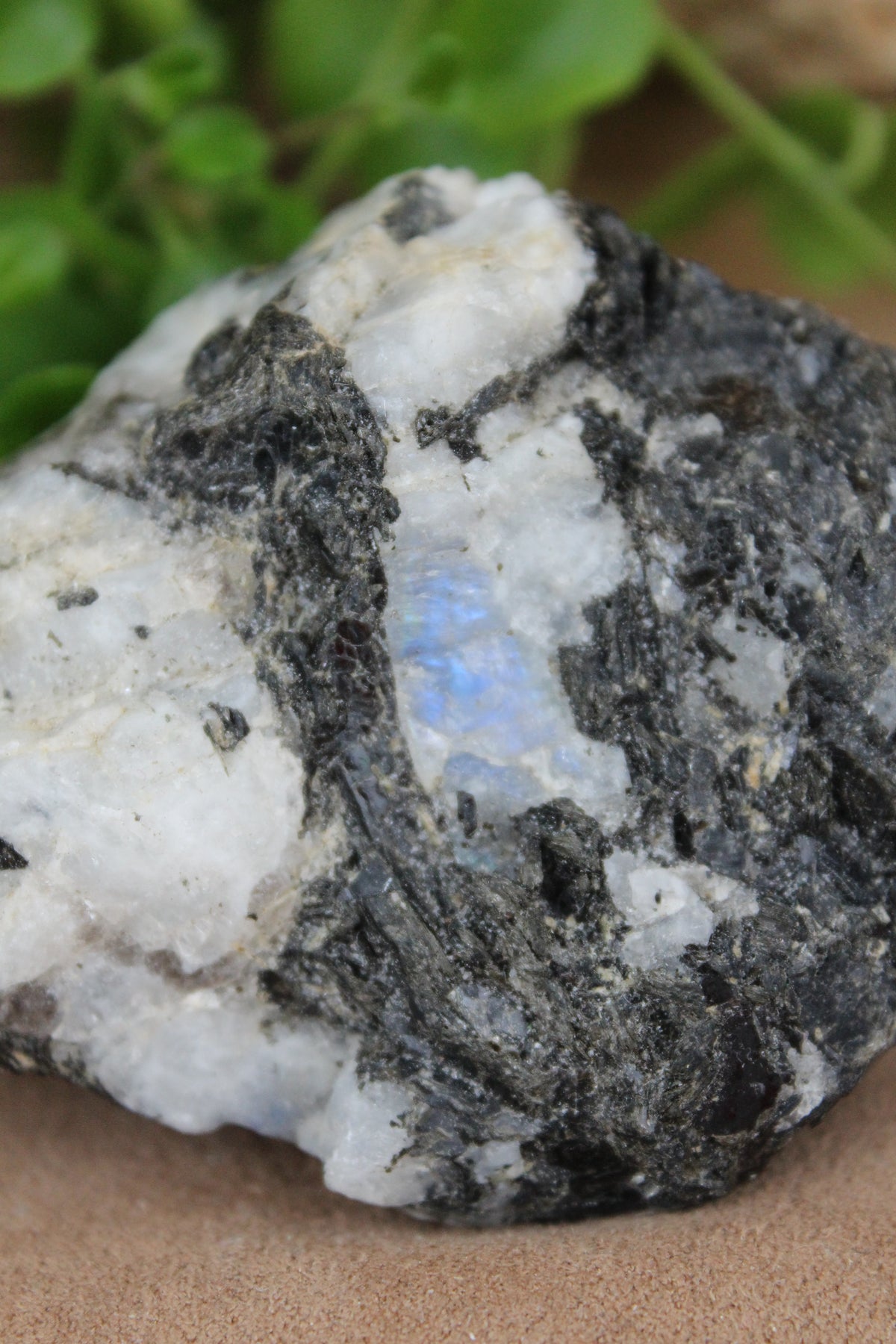 Regenboogmaansteen uit India – ruwe steen met blauwe flash