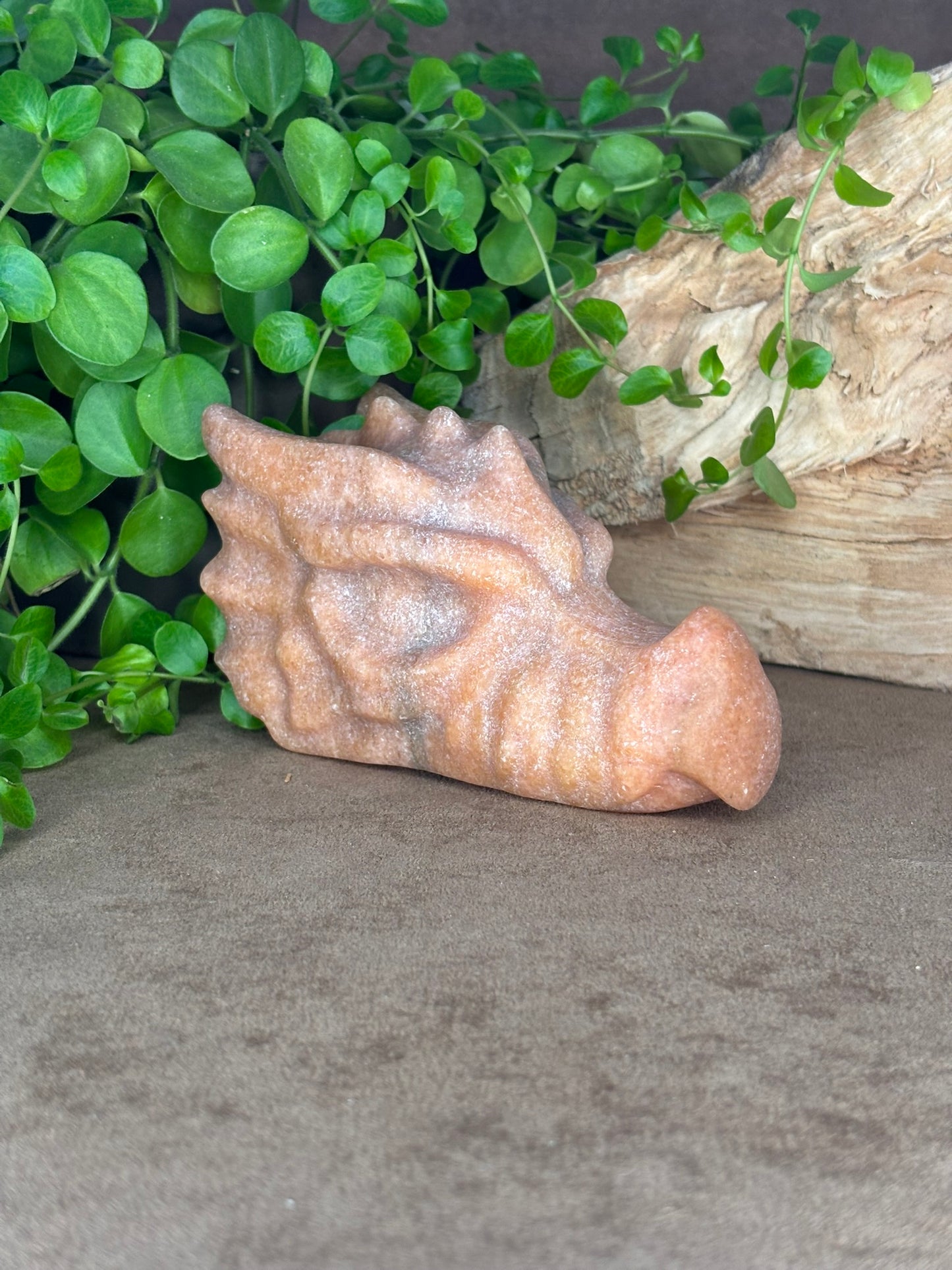 Calciet drakenkop – zalmroze/oranje