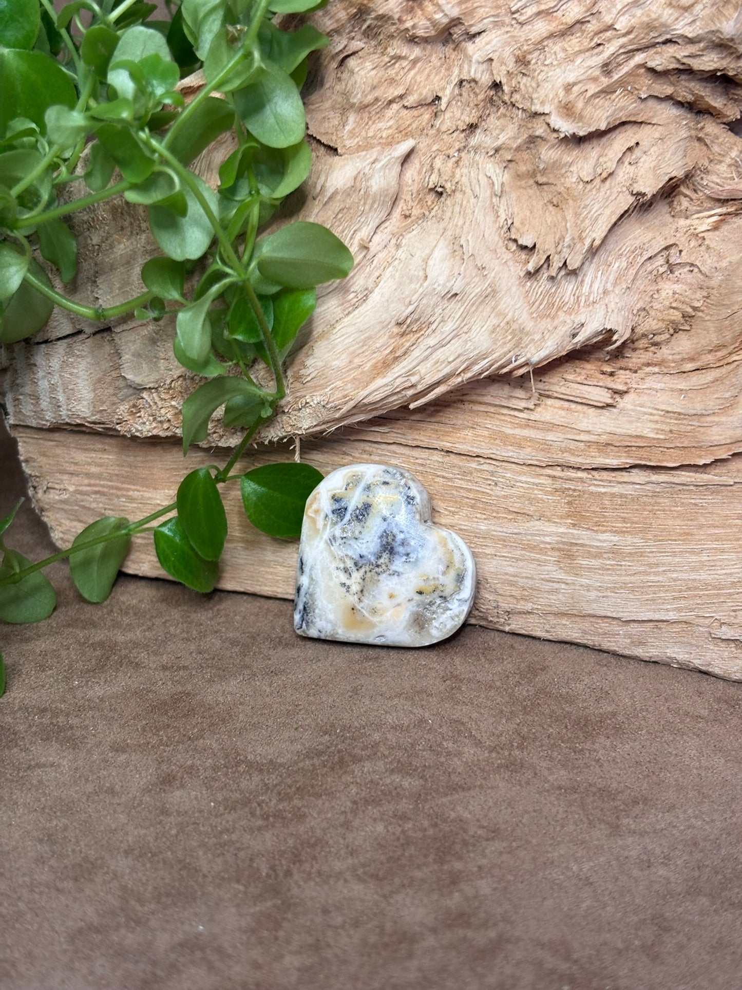 Zebra calciet hart
