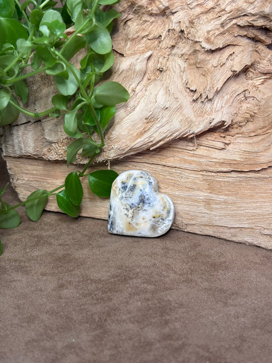 Zebra calciet hart