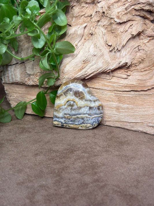 Zebra calciet hart