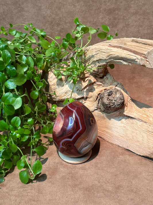 Donkerrood agaat ei met druzy geode
