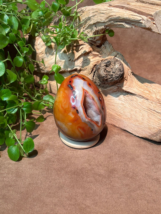 Rood agaat ei met geode