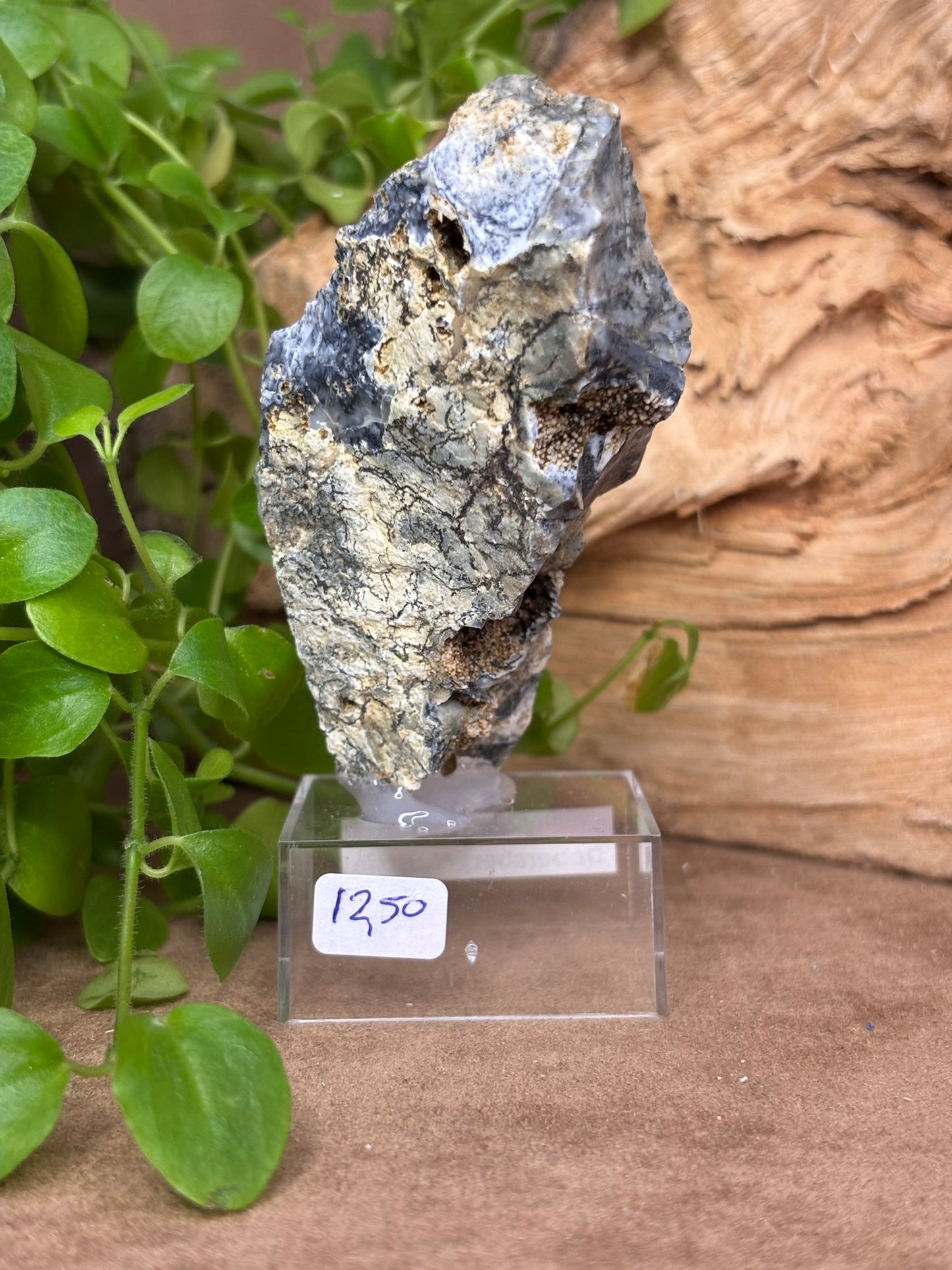 Moss Opal