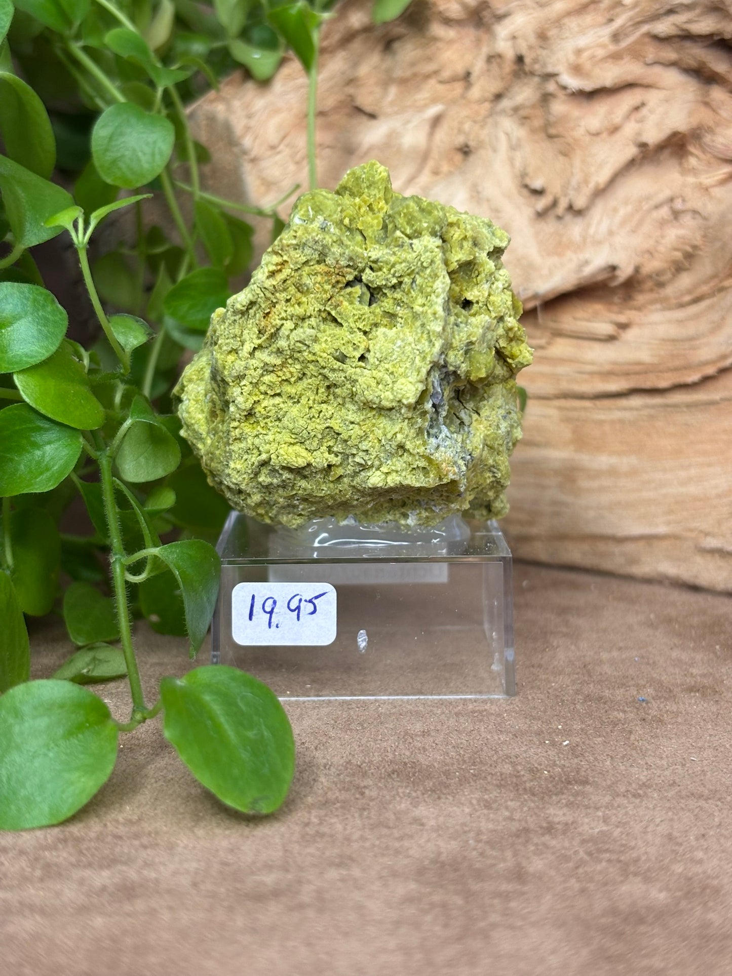 Ferrosaponite