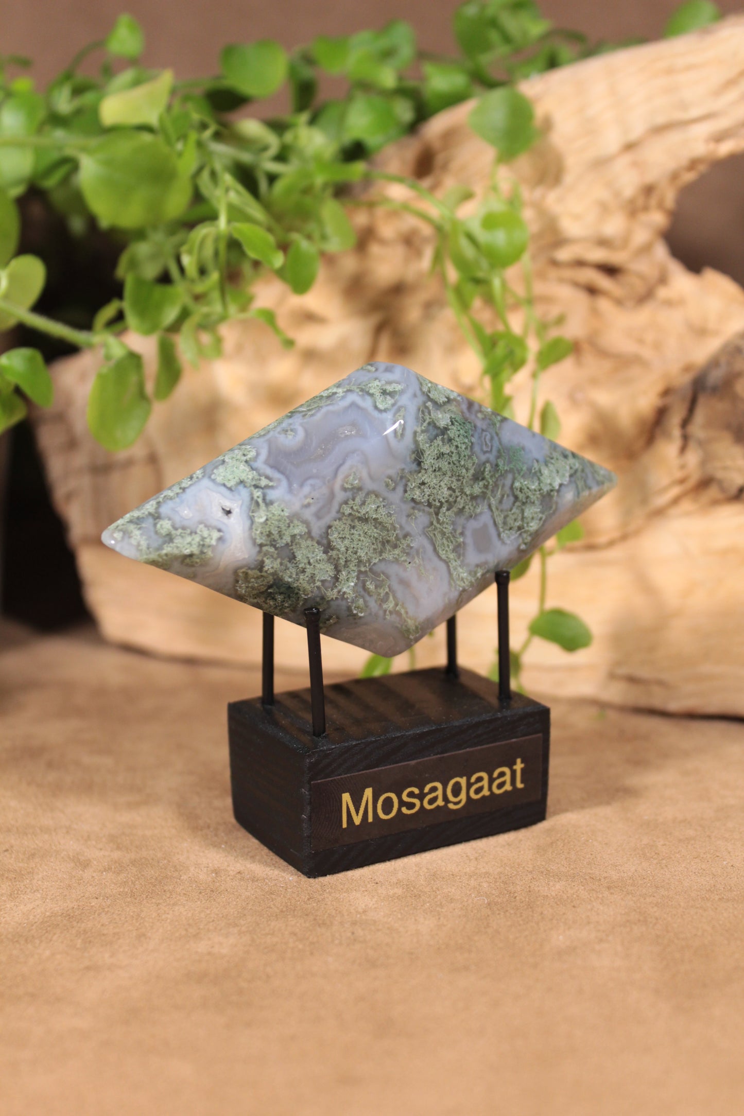 Mosagaat ruit