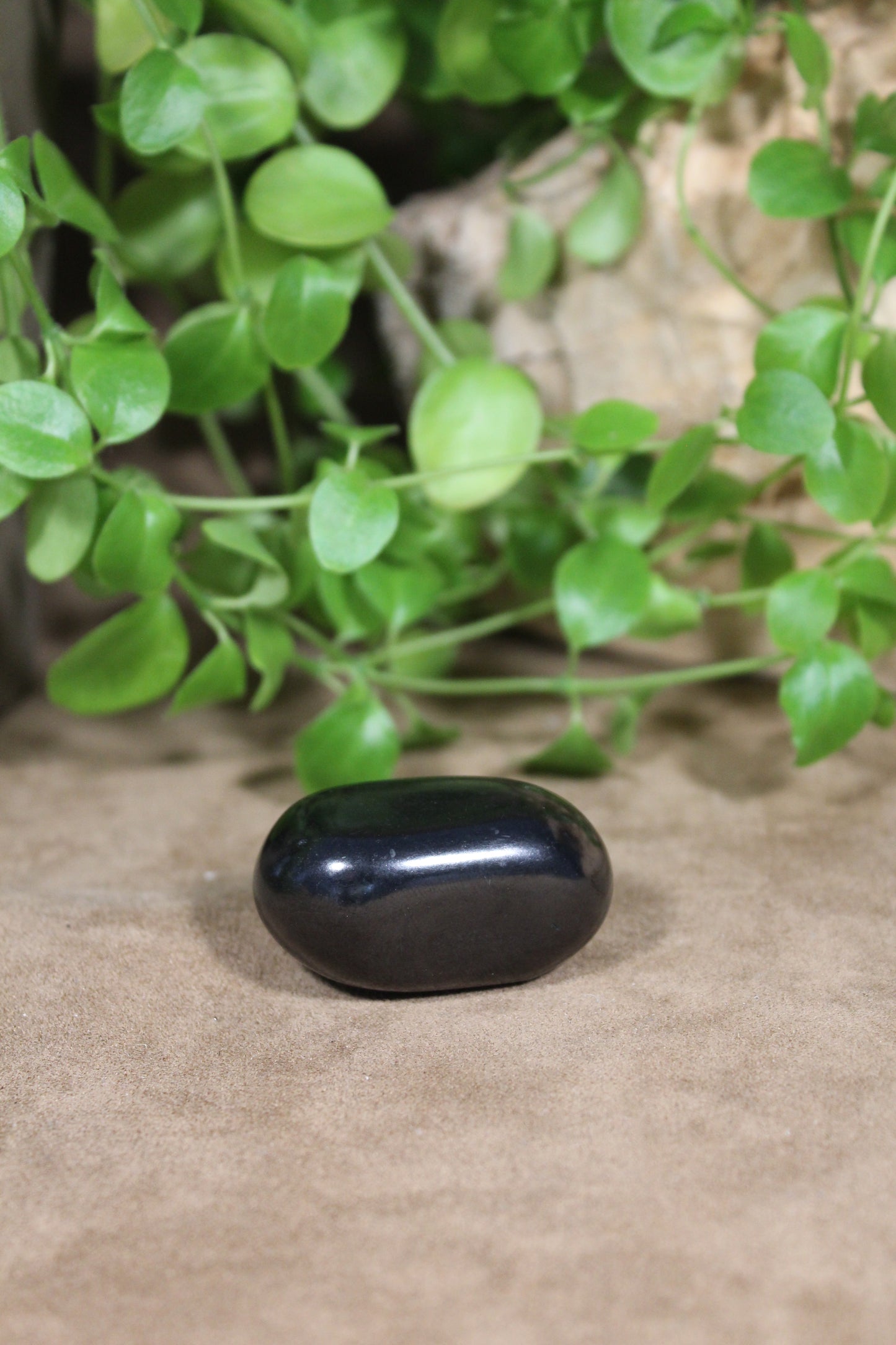 Shungite, gepolijst