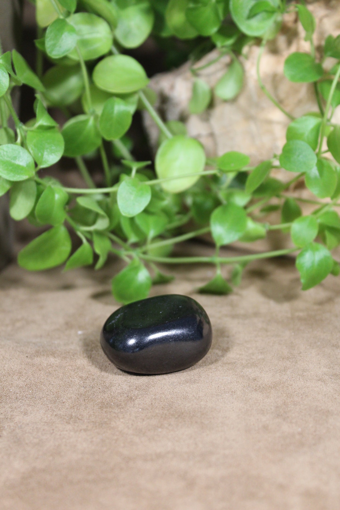 Shungite, gepolijst