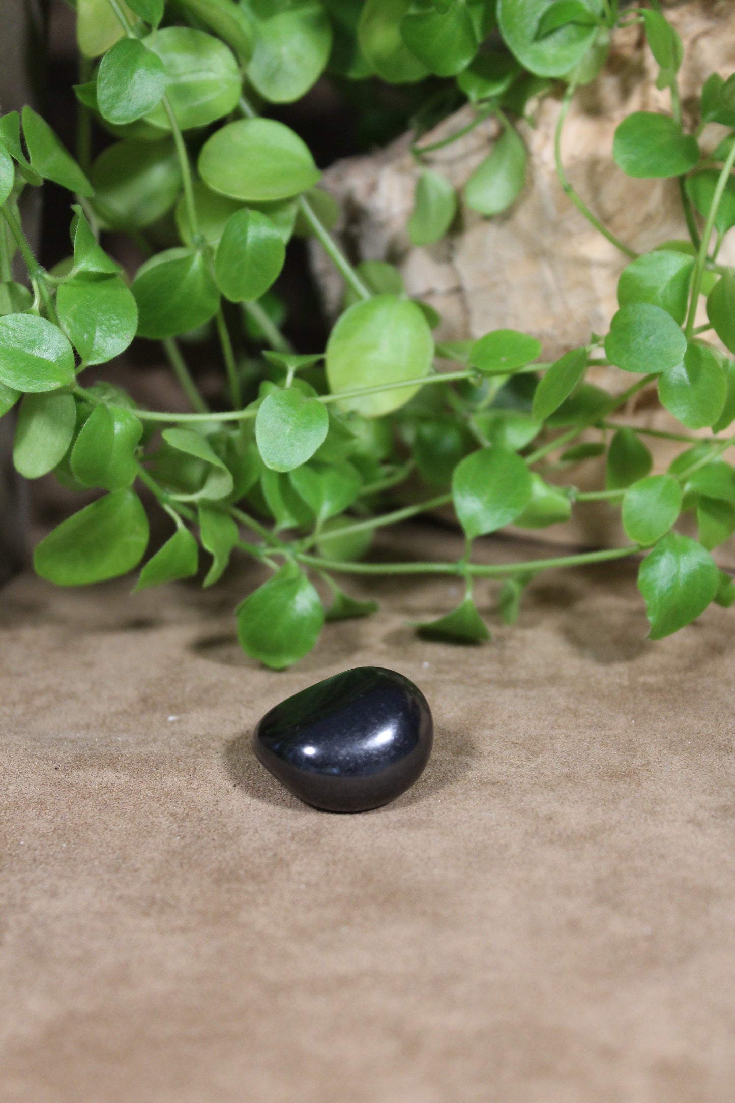 Shungite, gepolijst