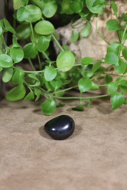 Shungite, gepolijst