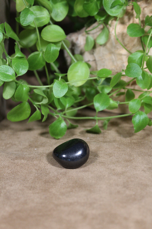 Shungite, gepolijst