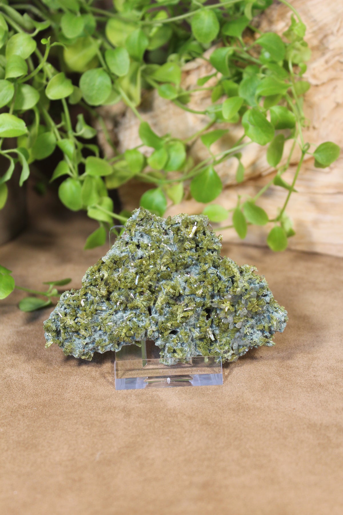 Epidoot kristalcluster met mosgroene kristallen