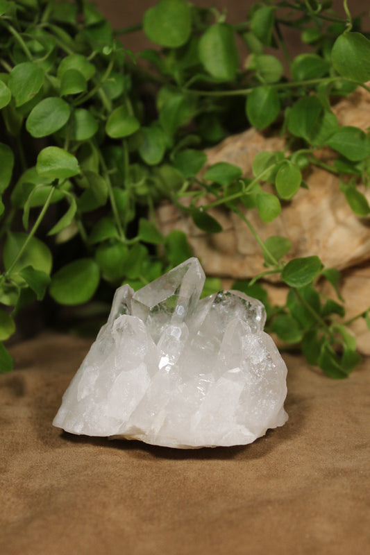 Bergkristal cluster Himalaya India
