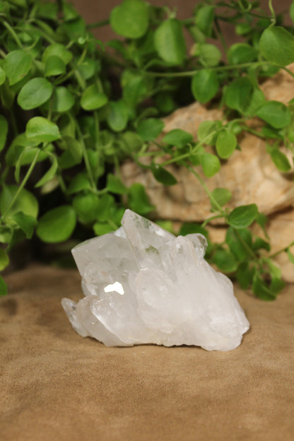 Bergkristal cluster Himalaya India