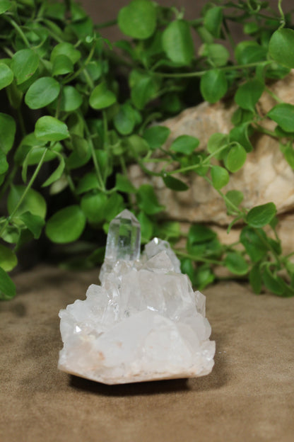 Bergkristal cluster Himalaya India