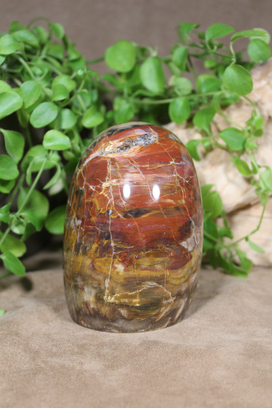 Versteend hout sculptuur