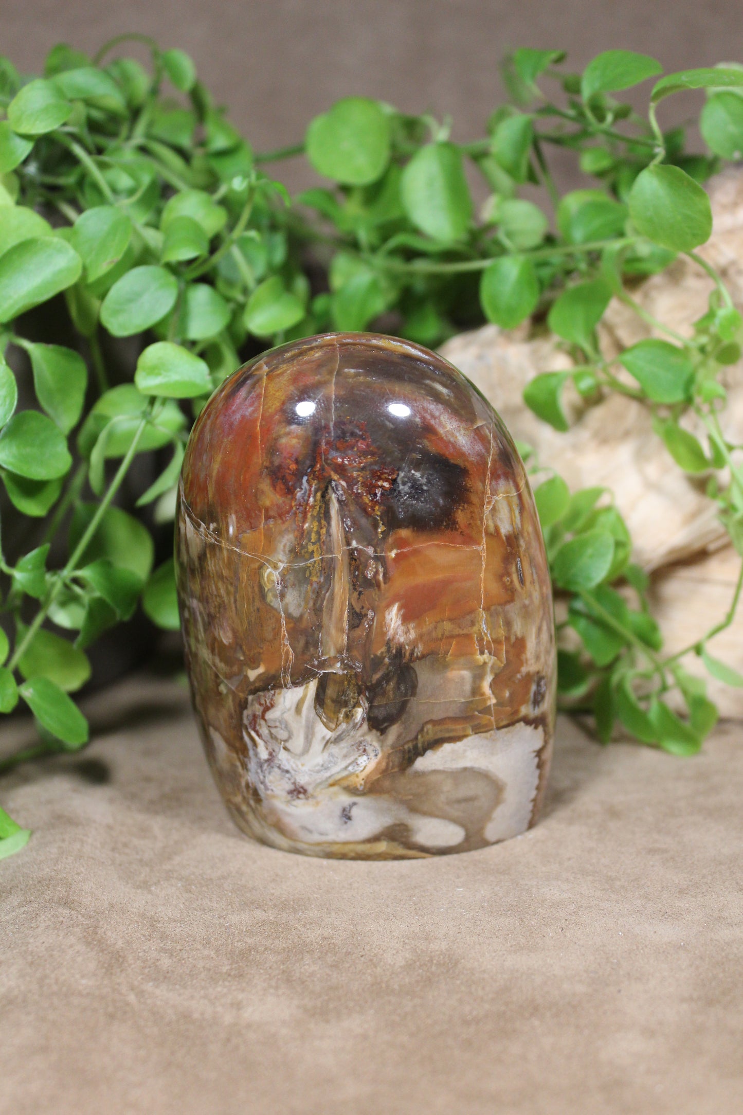 Versteend hout sculptuur