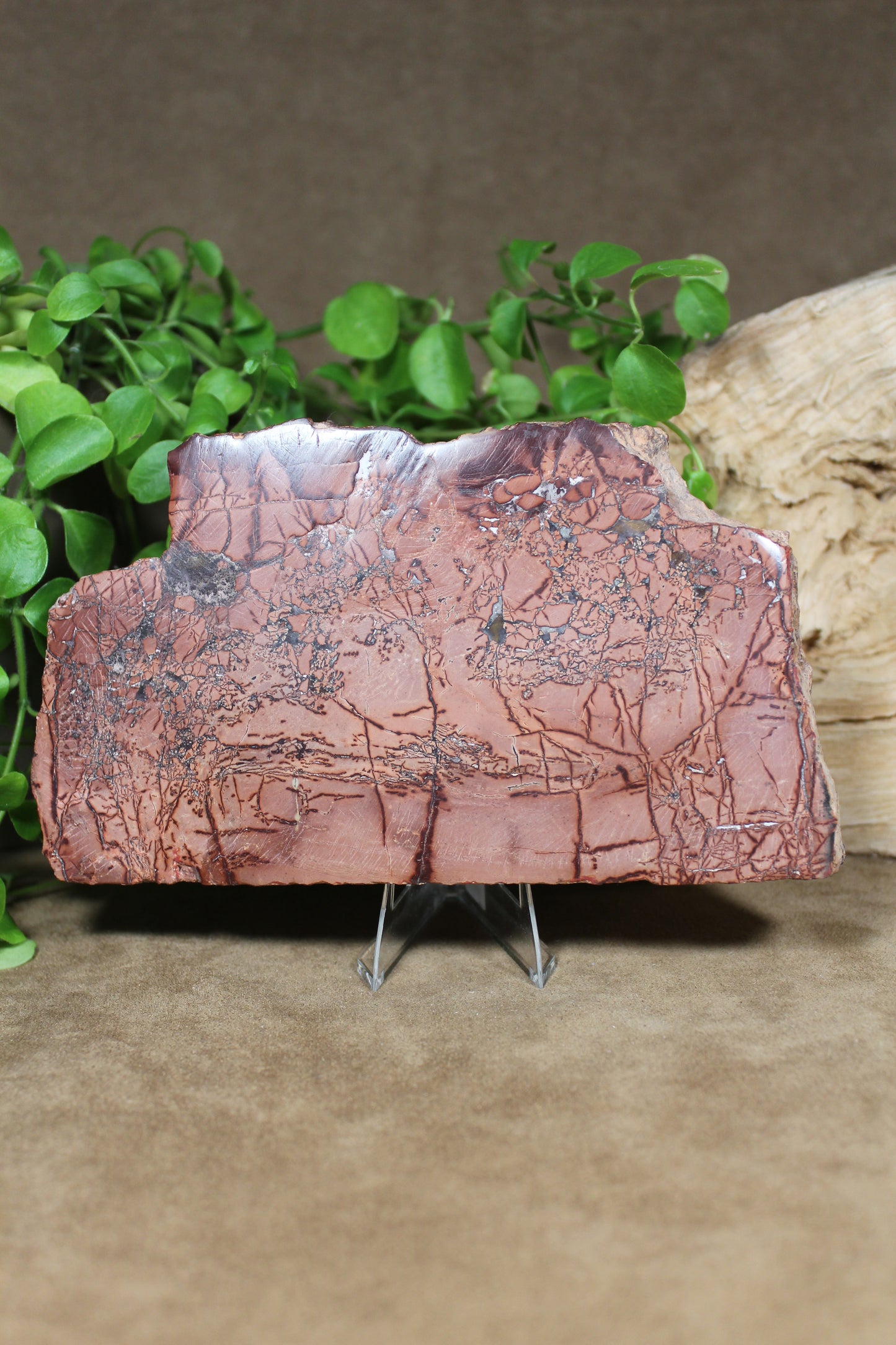 Mookaiet plak – 15 cm