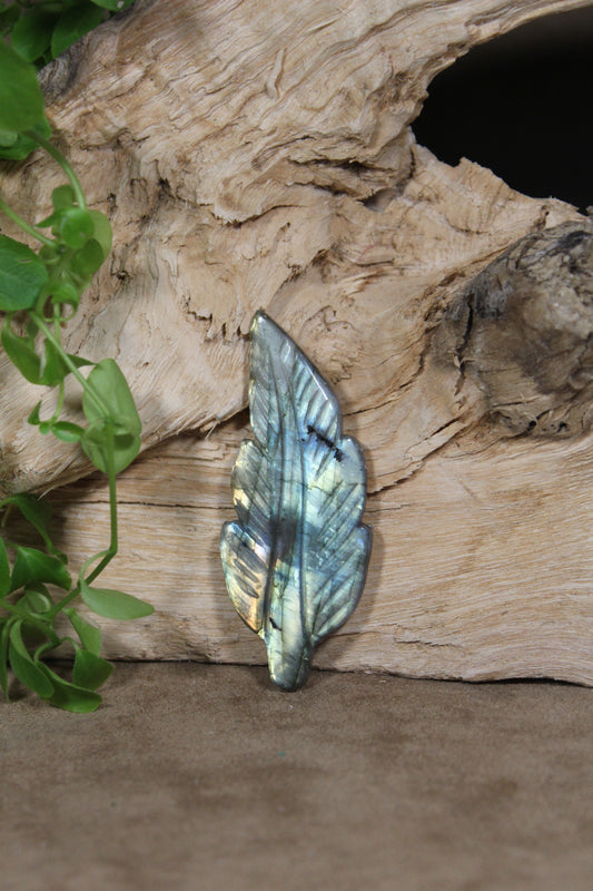 Labradoriet veertje met geelgroene flash