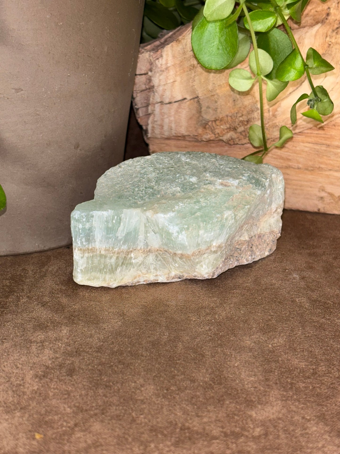 Pistache Calciet