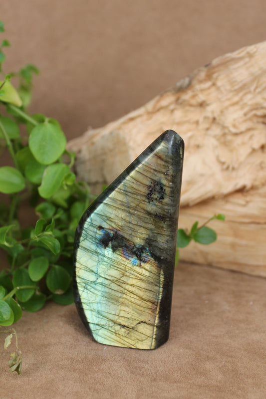 Labradoriet freeform – hoge vorm met goudgroene en blauwe flash