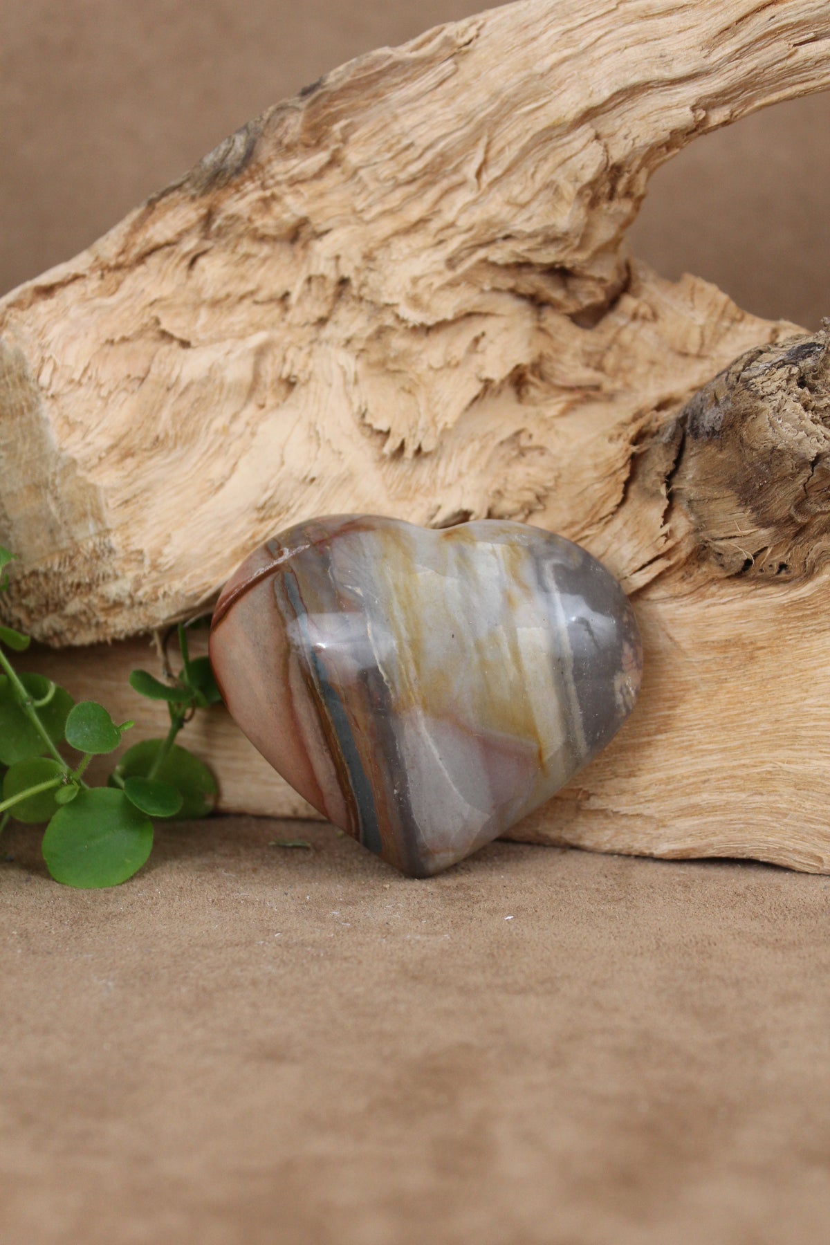 Versteend hout hart