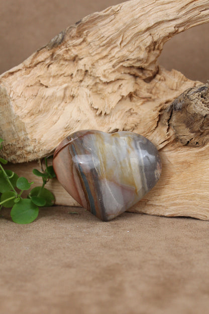 Versteend hout hart