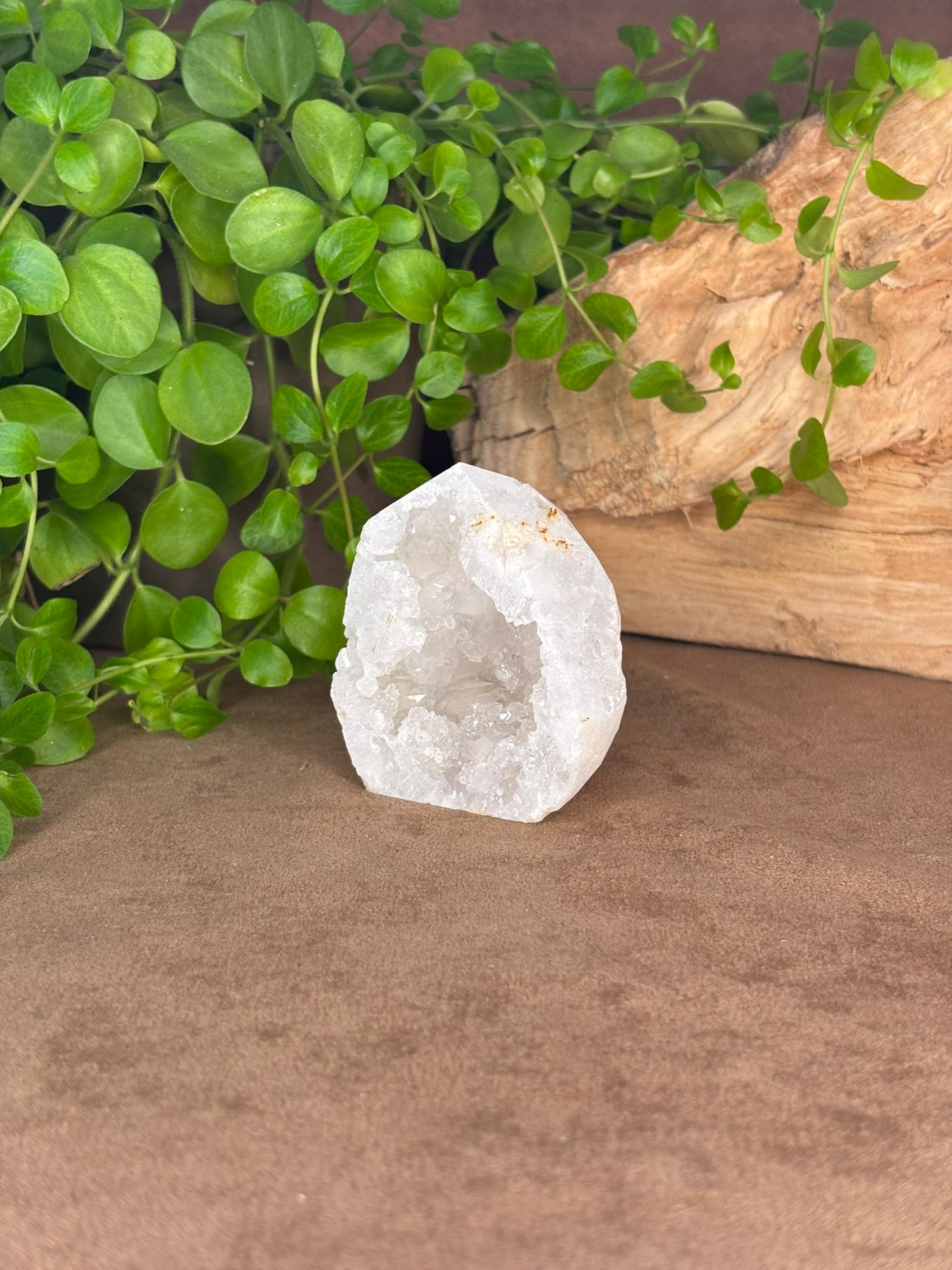 Kwarts geode, klein