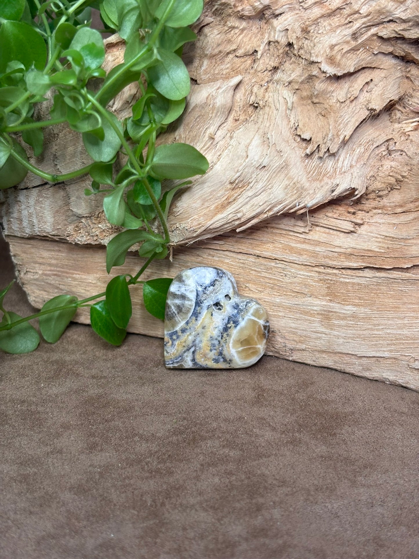 Zebra calciet hart
