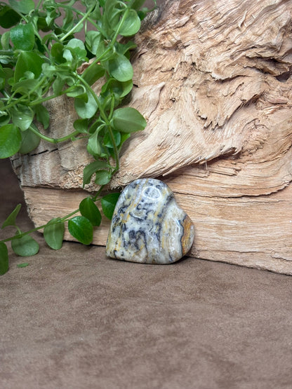 Zebra calciet hart