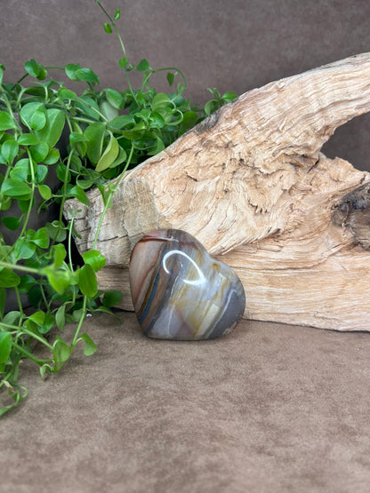 Versteend hout hart