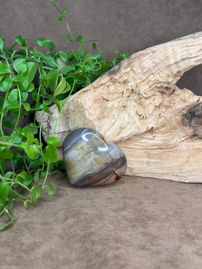 Versteend hout hart