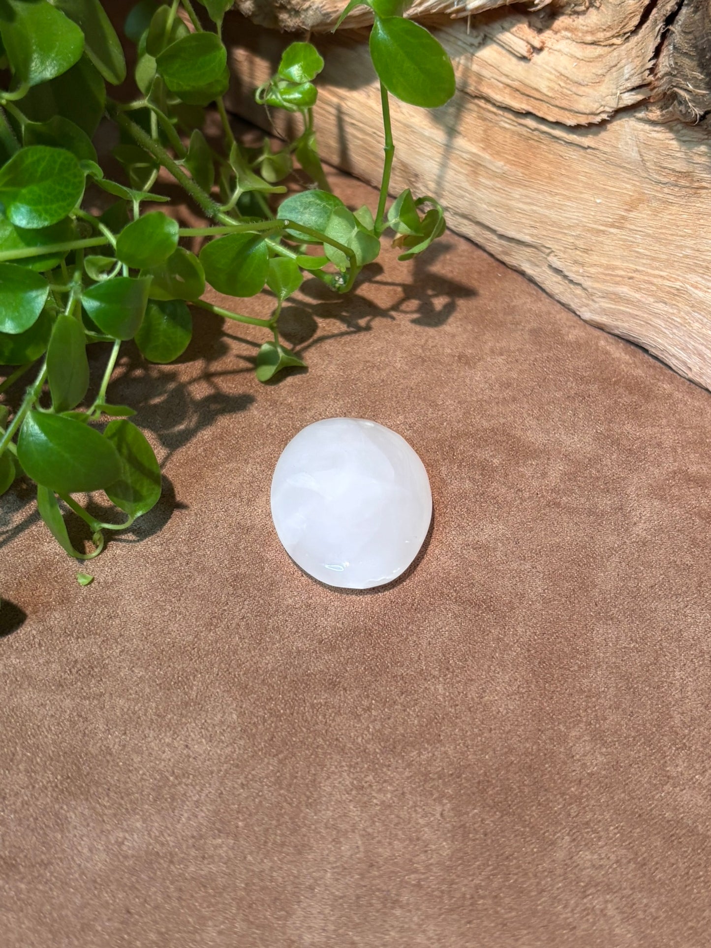 Mangano calciet ovaal