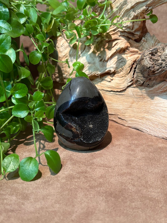 Septarie, draken ei klein